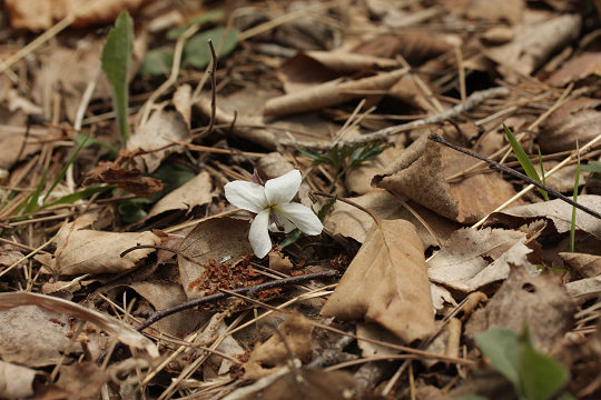 resize22376