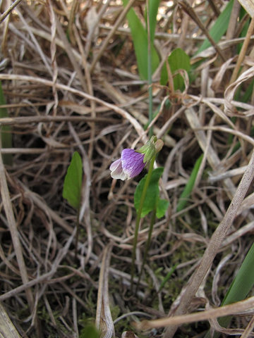 resize11467