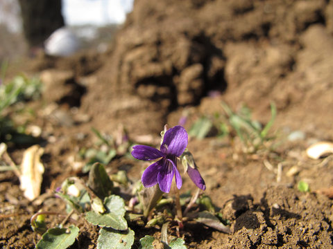 resize9587