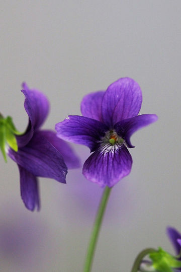 resize74088