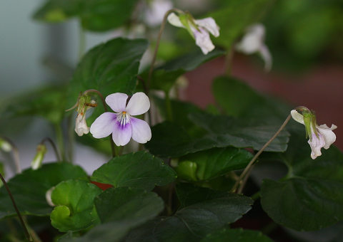 resize8769