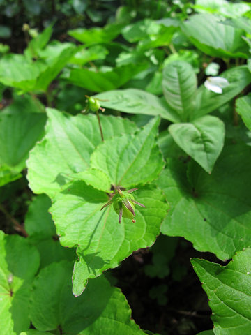 resize12416