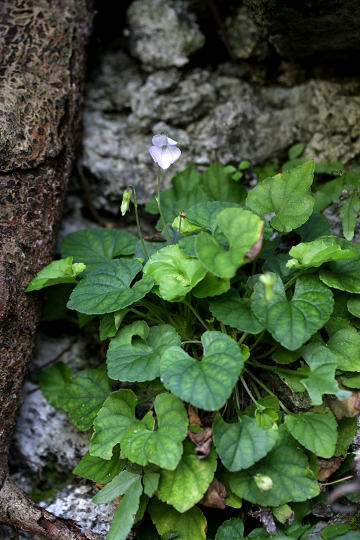 resize31225