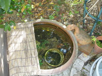 DSCN4682