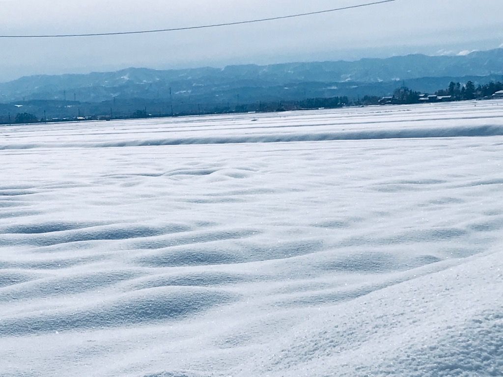 雪波