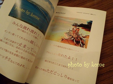 BlogPaint