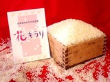 花キラリ