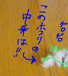 7895ca34.jpg