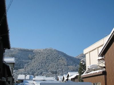 �ӡ����ΥХå� 010