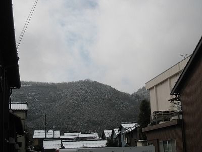 �Ĥ뿢ʪ 024