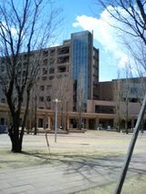 63571036.jpg
