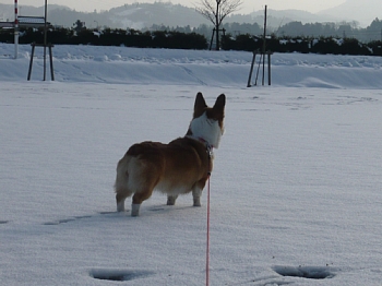 どこ?