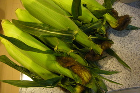 P1100641