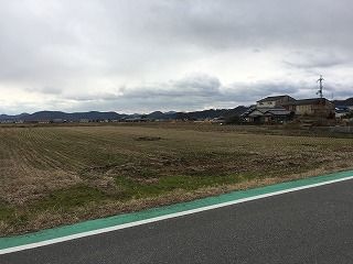 IMG_0708