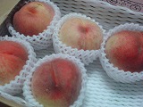 27a864b0.jpg