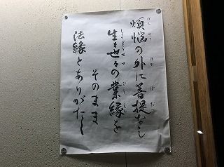 IMG_1719 - コピー