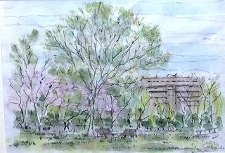 IMG_0206 - コピー