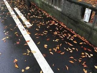 IMG_1609