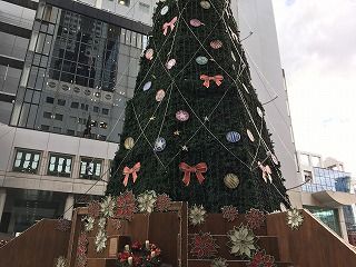 IMG_1649