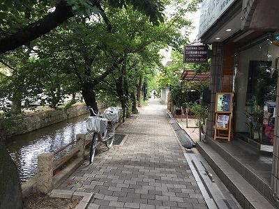 IMG_3393