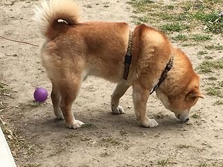 IMG_1015