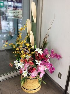 IMG_0133