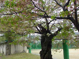 f50794e6.jpg