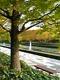 昭和記念公園1
