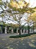 昭和記念公園2