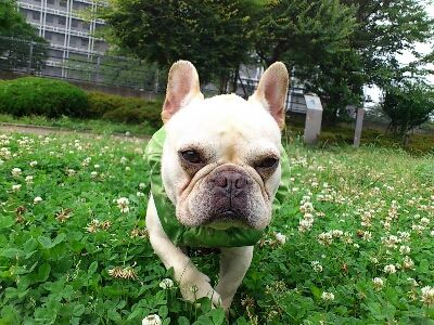fc2blog_20120626095408f34.jpg