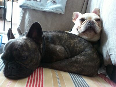 fc2blog_2012062413505642d.jpg