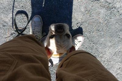 20111306.jpg