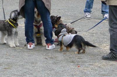 20112207.jpg