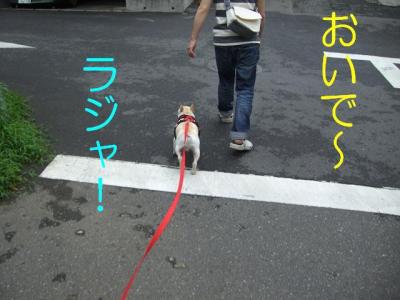 散たの4