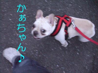 散たの5