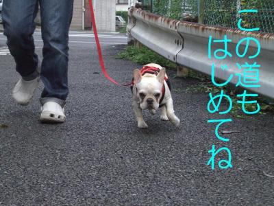 散たの3