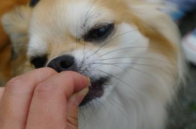 os24_convert_20120623194006.jpg