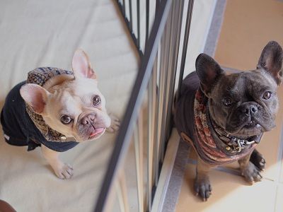o15_20130127210634.jpg