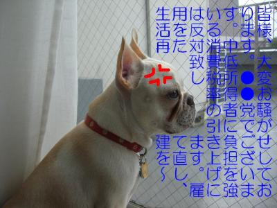 選挙1