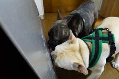 kidou3_convert_20120126104431.jpg