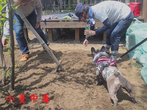 t10_20150508183804746.jpg