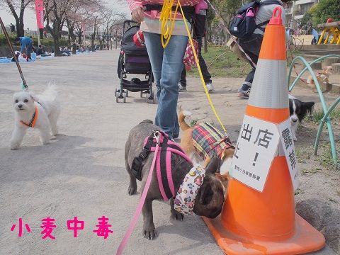 ん1