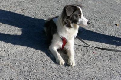 20111305.jpg