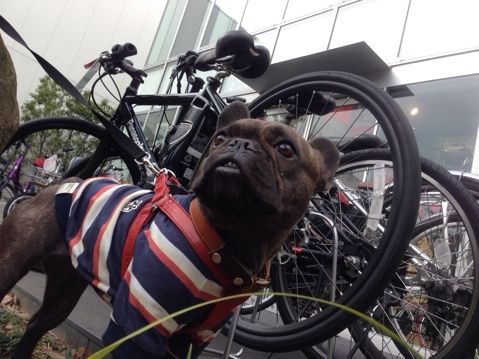 fc2blog_201403251944575aa.jpg