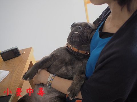 t16_2015050818574819f.jpg