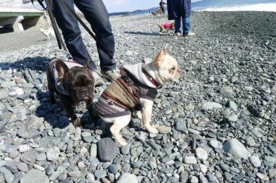 201113015.jpg