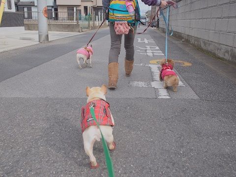 b3_201401301522381b9.jpg