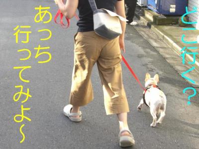 散たの1