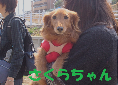 sb7.png
