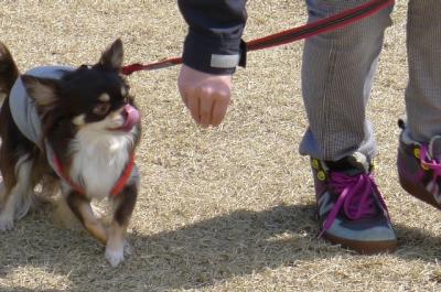 k4_convert_20120325161504.jpg